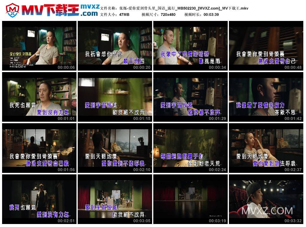 张烁-爱你爱到骨头里_国语_流行_MB502230